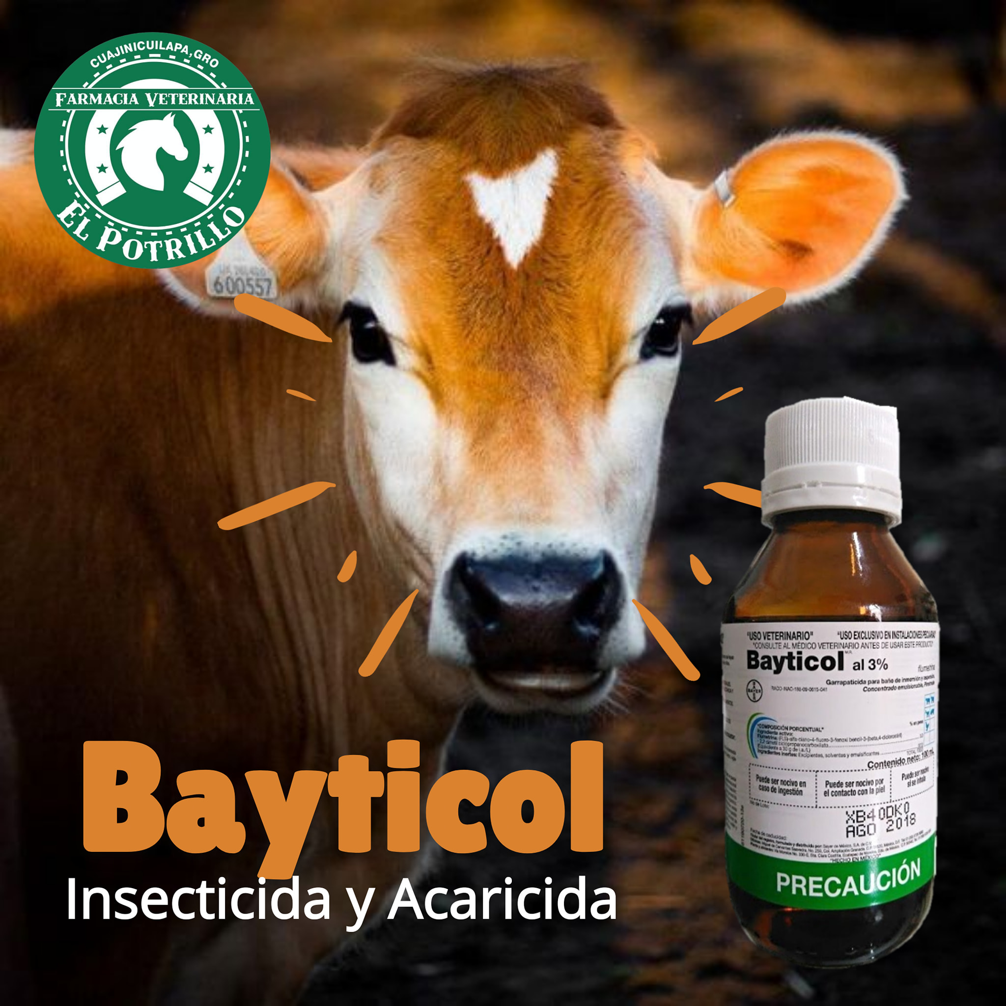 insecticida